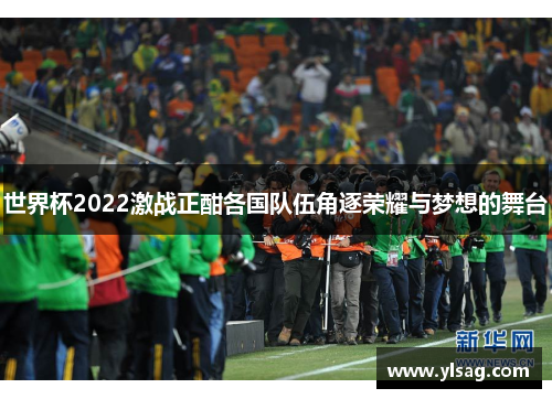 世界杯2022激战正酣各国队伍角逐荣耀与梦想的舞台